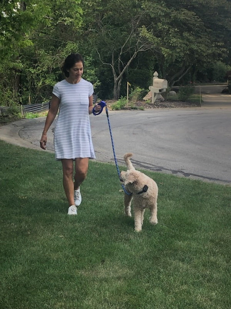 , the World'S First E-Leash for Training Dogs