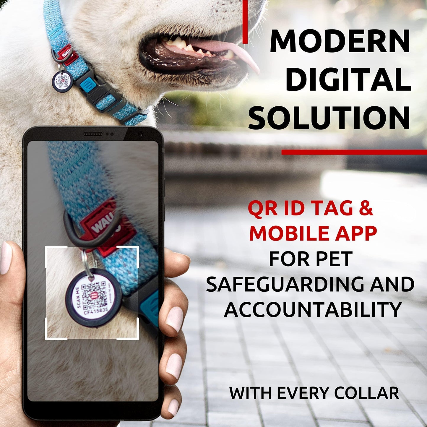 Reflective Cotton Dog Collar Eco Friendly Alt to Nylon Collar for Small Medium and Large Dogs Pet Collar with QR ID Tag Puppy Collar for Large Breed Dogs Adjustable Male Female Dog Collar
