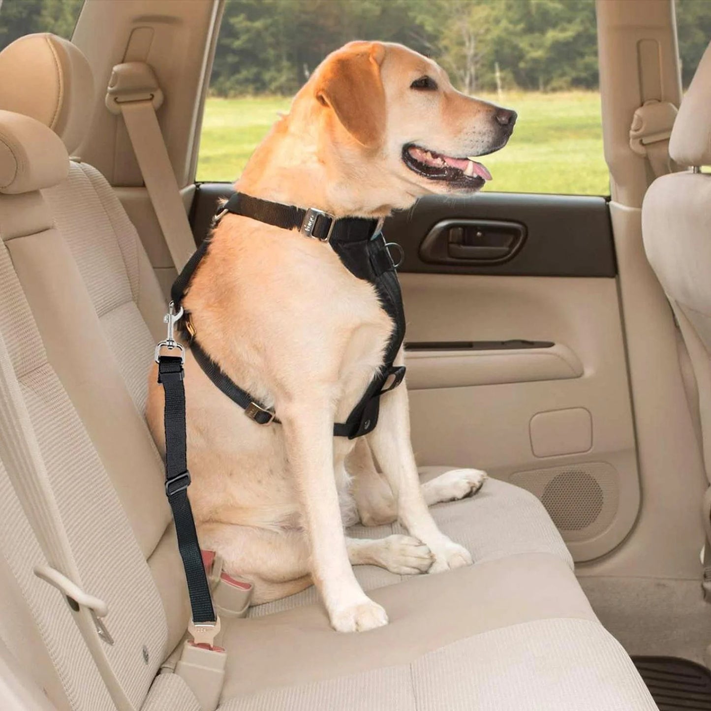 2 Pcs Adjustable Pet Dog Cat Car Seat Belt Safety Leads Vehicle Seatbelt Harness, Made from Nylon Fabric, Black