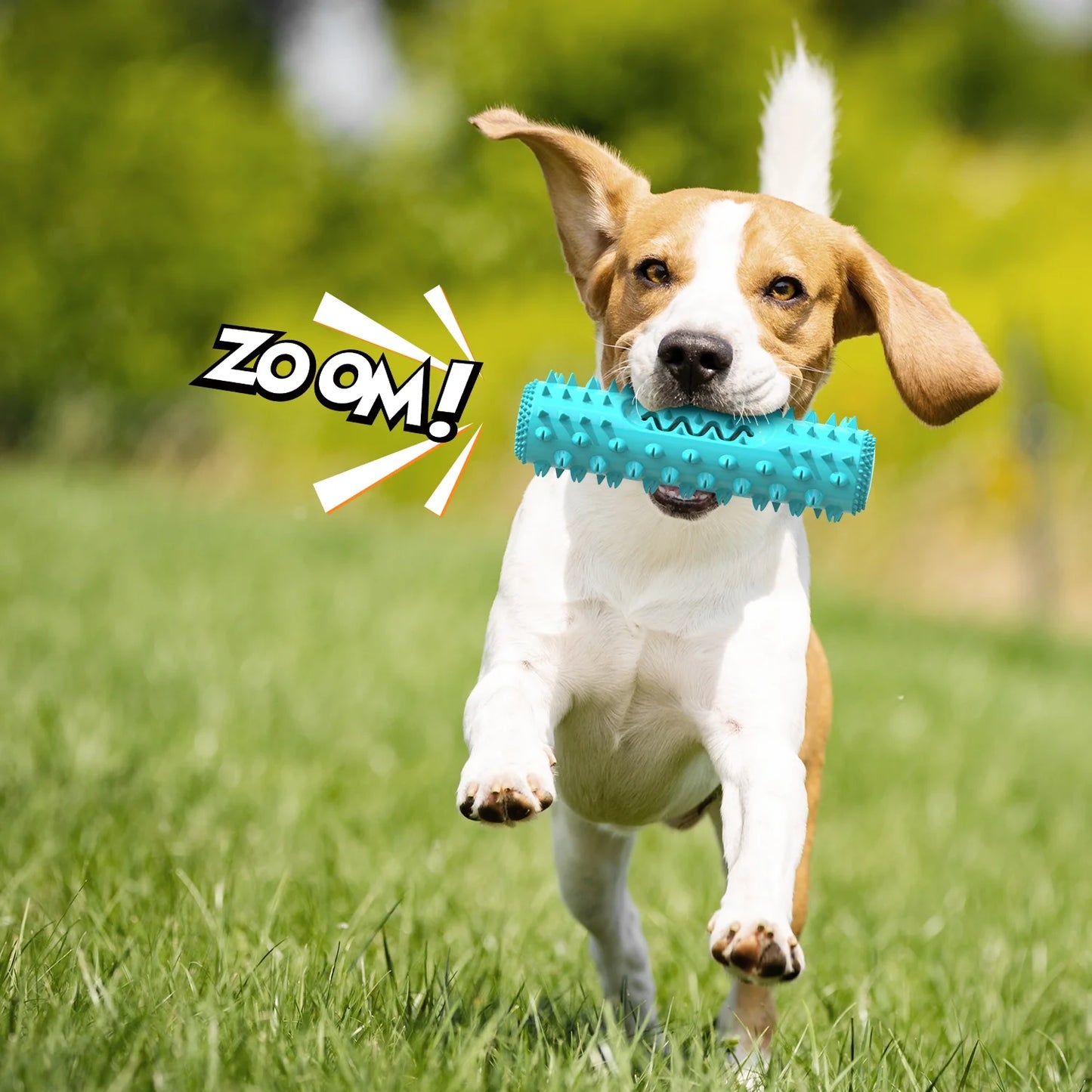 Dog Chew Toys for Aggressive Chewers Small Medium Breed, Indestructible Dog Squeaky Toys, Puppy Chew Toothbrush Toys Dog Teeth Cleaning