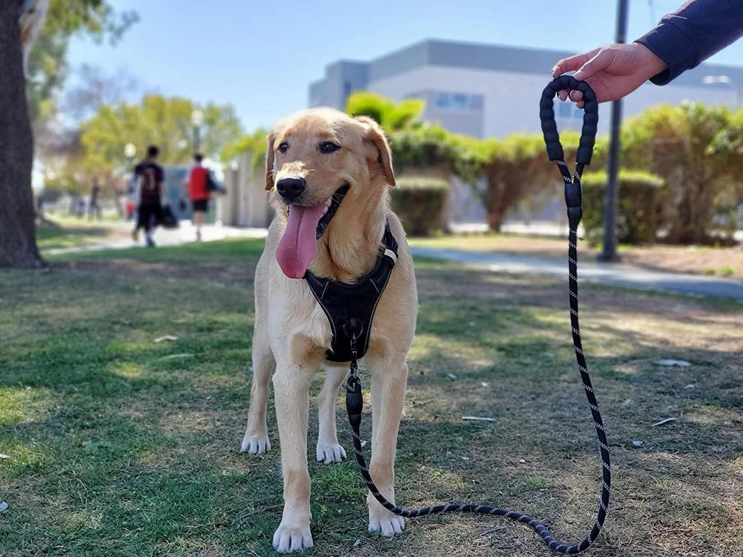 5Ft Nylon Rope Dog Leash for Large & Medium Dogs 18-120 Lbs, Highly Reflective,Anti-Slip Grip, Black