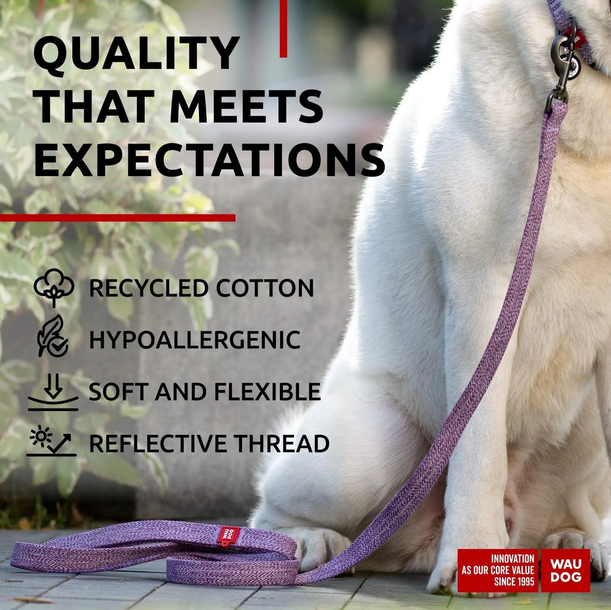 Recycled Cotton Dog Leash 6 Ft X 1 Inch Purple Eco Friendly Collar for Medium &